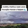 ciise.maxamed151