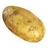 kartoshechka296