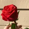 sana3abari