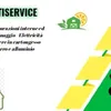 dr.multiservice