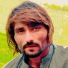 hayraan......nizam