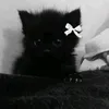 angel_o1_darkness