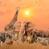 nathanielncube572
