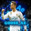 GOOSE_AE
