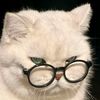 she_look4