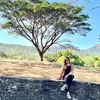 ancea.rellis
