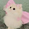 cute__arfui