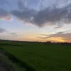 duclong6835