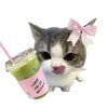 user030320061523