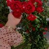 abdullah95630