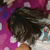fann8178