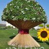 awwad4591