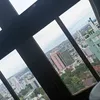 pauloprincipedopunhobol