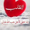 roro688685