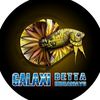 Galaxi Betta Official