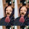 miastecu2
