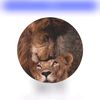 cherifa.dekhil