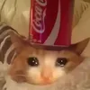boboboy5277