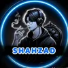 shahzad18455