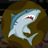 lassharkbaby278