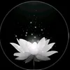 nguyntn3996