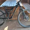 levinski73