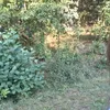 ciaglewpotrzebje