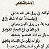 husseinali4062