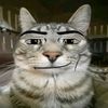zenal_pro5