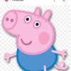 georgepig411