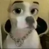 maltagreatest