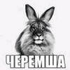 user8220967838196