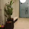 kiran20.25