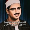 mahmoud.elsharkaw036