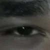 silvawdx3