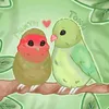 parrots.ornithology