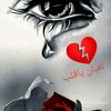 ahmedansan8
