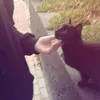 kokololo_556677
