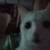 klean_typs
