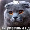 mkstllllll1