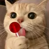 larah.kpp