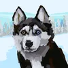 zuzi_9894
