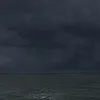 rlnm_xl