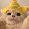 itsleona_23