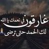 user779680258623