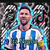 noyon3833