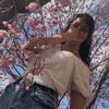 athena_sisiana