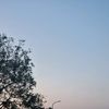 shani_20126