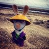 matu_906