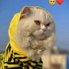 misssweety50